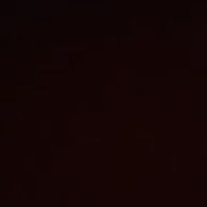 Meet your Posher, William f